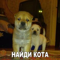 Васяна на работе сфоткал.