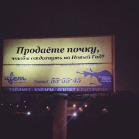 почку, а то печенью точно не продам