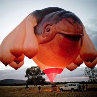 Воздушный шар с сиськами-теперь ты видел всё!
