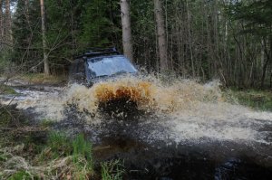 На таком гоняем, зверь!