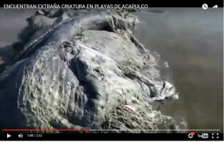 видно что это сеть (клетки) на "чудовище"