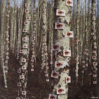 навеяло
Штирлиц щел по весеннему лесу и увидел на деревьях почки.
Опять проделки ССовцев подумал Штирлиц.