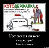Вся наша жизнь была ошибкой: вот как на самом деле нужно отрывать стикеры для заметок