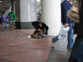 Этого товарища лично видел и тоже сфотографировал. Ванкувер, Канада.