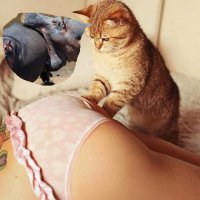 Прям, мысли разбегаются.....