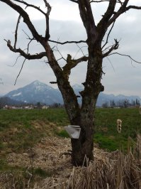 срать с ̶в̶ы̶с̶о̶к̶о̶й̶ ̶к̶о̶л̶о̶к̶о̶л̶ь̶н̶и̶ высокого дерева