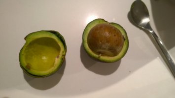 что это такое?