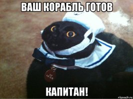 Авария дня. Два идиота встретились