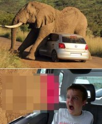 А что ты знаешь о внезапности? ( 1 фото+видео)