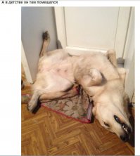 пока был ОН помещался, вырос - стал ОНА - перестал помещаться  )))