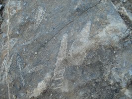 В Крыму недалеко от Нового Света, на срезе расколотого валуна обнаружили когда отдыхали там.