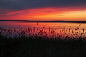 Все экзотика похоже. У нас природа то же красивая (белое море к примеру)