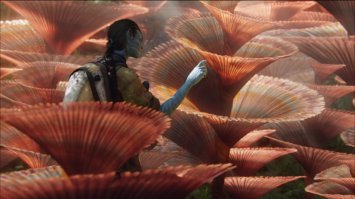 Удивительная реакция растения на прикосновение