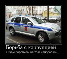 Фотоподборка для поднятия настроения