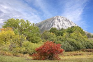 Шихан Торатау - остаток рифа с окаменелостями морских ракушек и растений