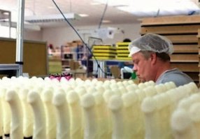 Фотоподборка за 16.03.2016