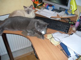 Спальные места есть, но в бардаке на столе комфортнее.