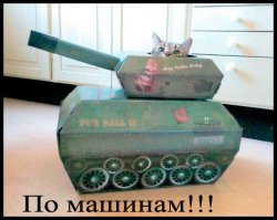 Домик для кошки СУ100 