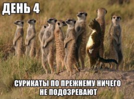 Прости, Мэтт, в следующий раз. Как телеведущий Джимми Киммел 13 лет издевается над Мэттом Дэймоном