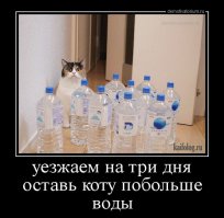 Фотоподборка для поднятия настроения