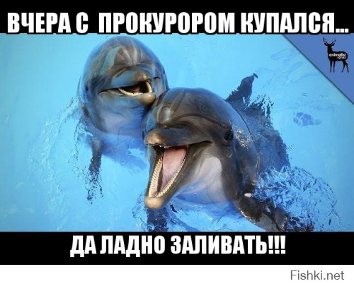 Наталья Поклонская с дельфинами