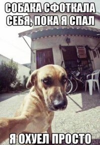 Фотоподборка за 16.03.2016