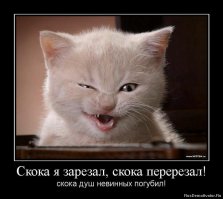 Я бы был только рад. Ополоснулся и голову с волосами помыл за дорма.