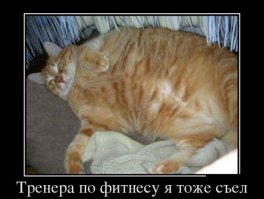 По моему кто то сильно много ест