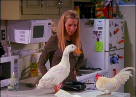 5-летняя девочка, ставшая мамой для утенка