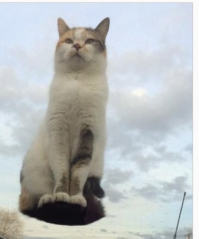 Фотоподборка за 16.03.2016