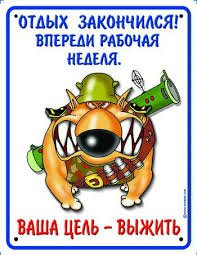 20 фотографий для тех, кто любит жаловаться, что очень устаёт в офисе