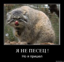 По моему кто то сильно много ест