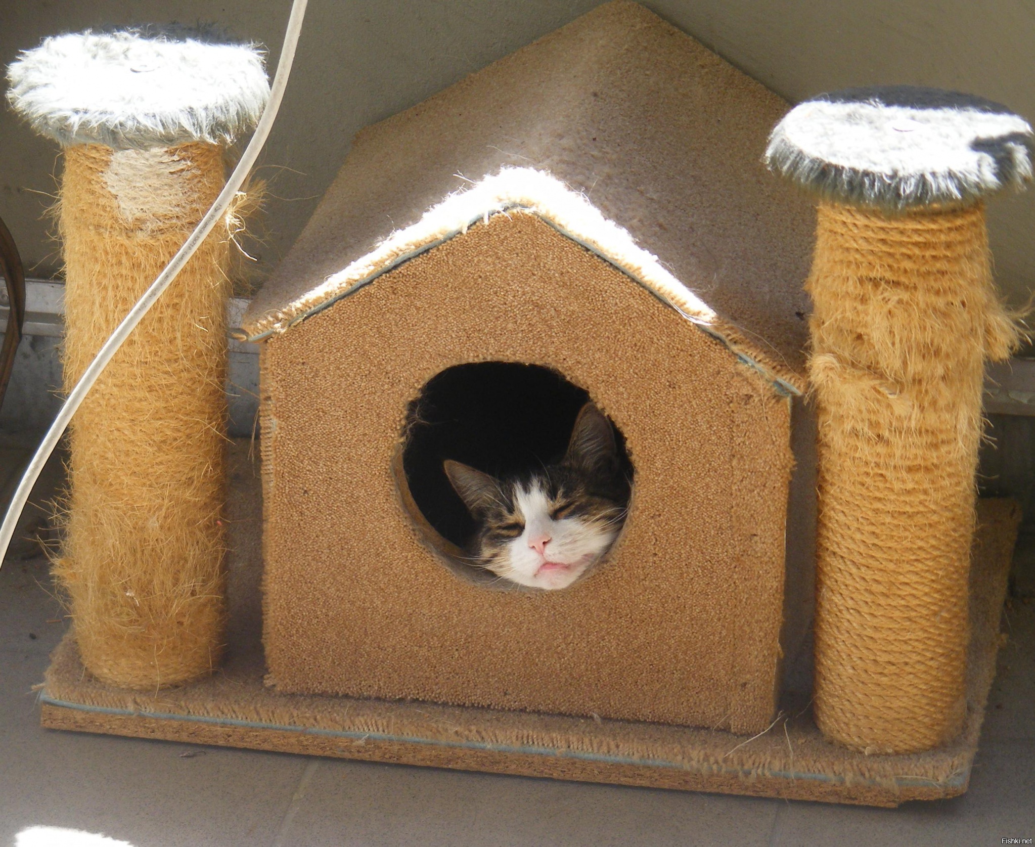 Самодельный кот. Домики для котов. Самодельный кошачий домик. Самодельные домики для котов. Дом для котика.