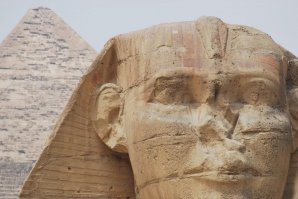 Что стало с самолетом, врезавшимся в птиц