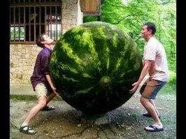 Это ж уссаться можно!