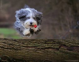 26 фотографий, сделанных в нужный момент 