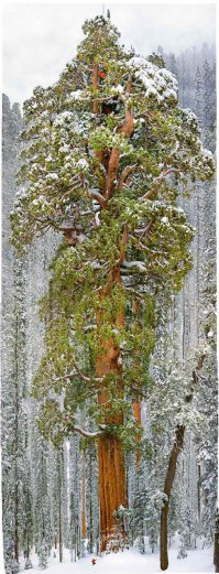 Подборка ужасно красивых фотографий