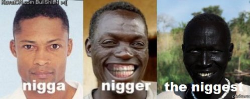 Майк Тайсон засмущался, попав в объектив «Камеры поцелуев»