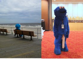 Фотоподборка за 17.03.2016