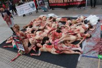 Только один вопрос, почему эти боруны одетые?!