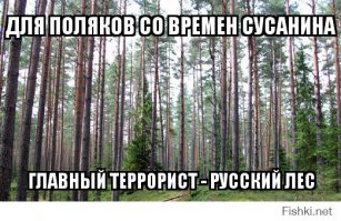 Польский министр обороны на днях заявил, что авиакатастрофа под Смоленском была терактом: