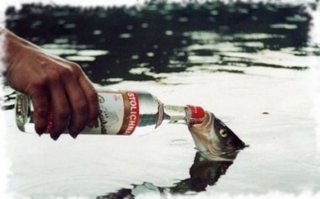 Как выглядят 100 ккал в жидком виде