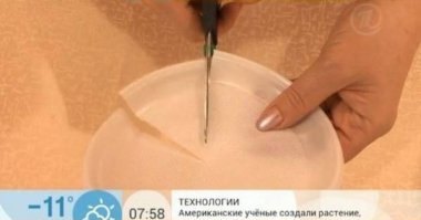 Оригинальные изделия из пластиковых бутылок