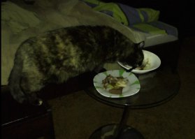 Вот ночной дожор. Поймал своё голодающее чудо за чисткой тарелки. В принципе воспитанная девочка, локти на стол не кладет, сидит на табуреточке, и ест почти с вилки.