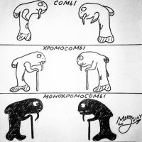 Только такого нашел. :)
