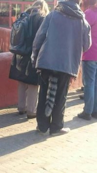 Фотоподборка за 17.03.2016