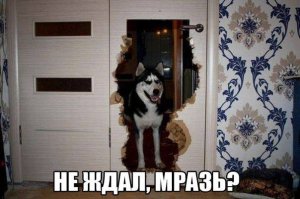 Гни свою линию: настойчивости пост!