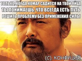 Смешные картинки с надписями