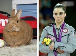 Гимнастка-мем: четыре года спустя