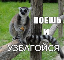 Жульен из красной рыбы